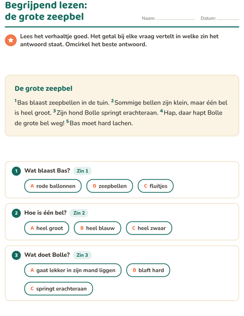 Voorbeeld van het Begrijpend lezen-werkblad voor groep 4