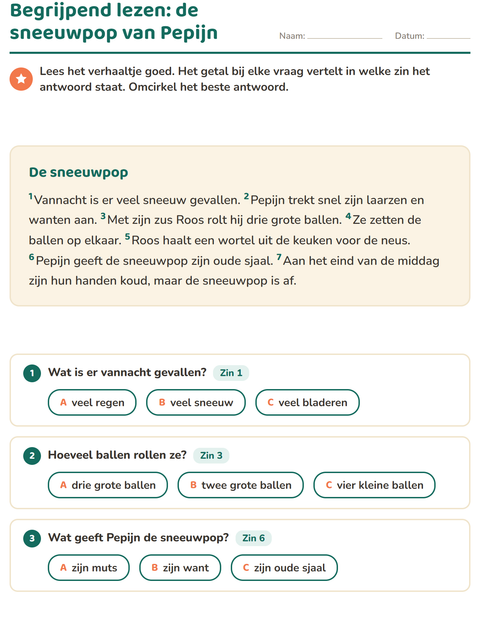 Voorbeeld van het Begrijpend lezen-werkblad voor groep 4