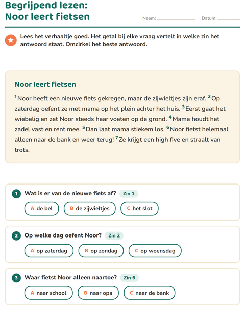 Voorbeeld van het Begrijpend lezen-werkblad voor groep 4