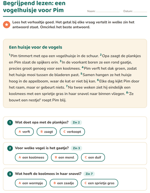 Voorbeeld van het Begrijpend lezen-werkblad voor groep 4