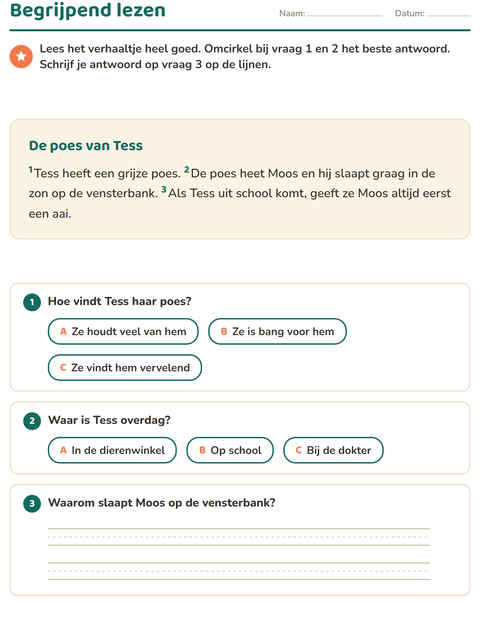 Voorbeeld van het Begrijpend lezen-werkblad voor groep 4