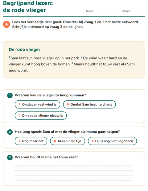 Voorbeeld van het Begrijpend lezen-werkblad voor groep 4
