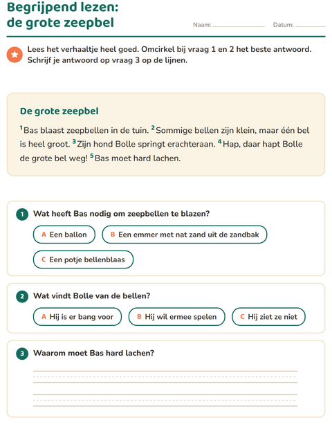 Voorbeeld van het Begrijpend lezen-werkblad voor groep 4