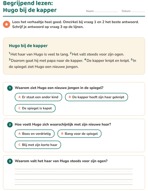 Voorbeeld van het Begrijpend lezen-werkblad voor groep 4
