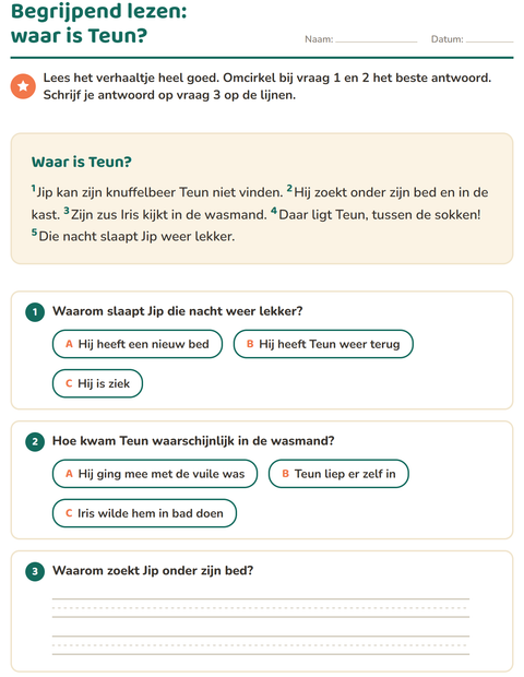 Voorbeeld van het Begrijpend lezen-werkblad voor groep 4
