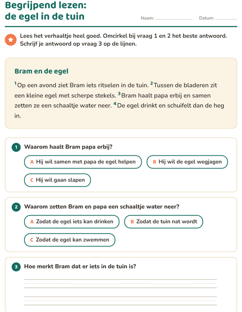 Voorbeeld van het Begrijpend lezen-werkblad voor groep 4