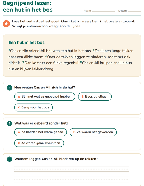 Voorbeeld van het Begrijpend lezen-werkblad voor groep 4