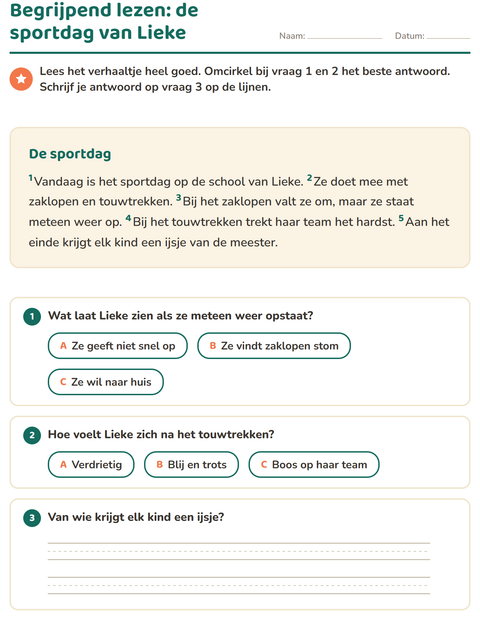 Voorbeeld van het Begrijpend lezen-werkblad voor groep 4