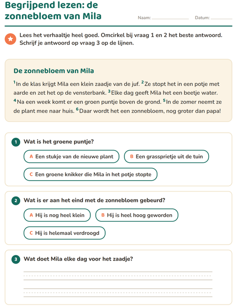 Voorbeeld van het Begrijpend lezen-werkblad voor groep 4