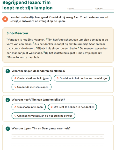 Voorbeeld van het Begrijpend lezen-werkblad voor groep 4