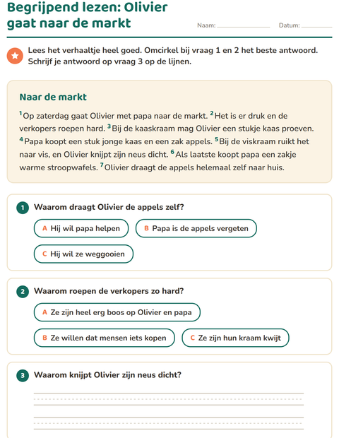 Voorbeeld van het Begrijpend lezen-werkblad voor groep 4
