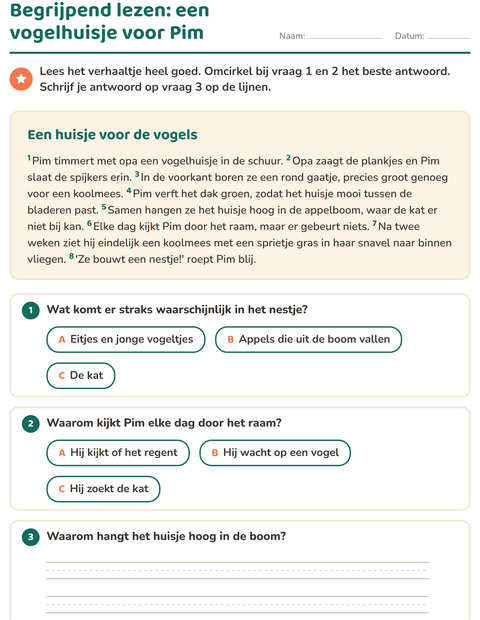 Voorbeeld van het Begrijpend lezen-werkblad voor groep 4