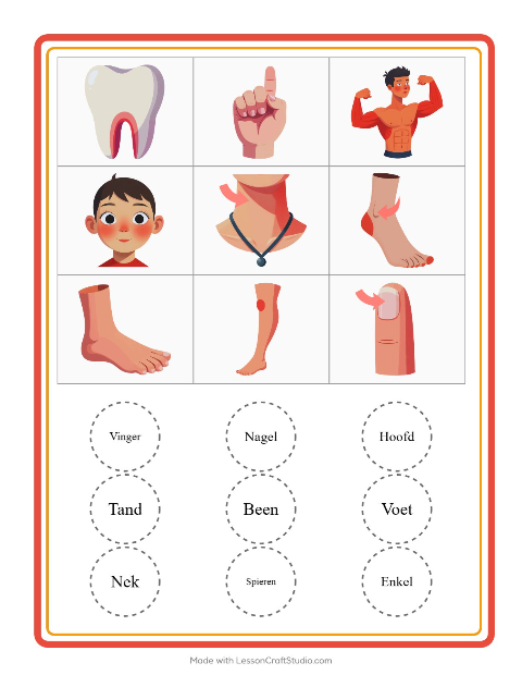 Voorbeeld van het Bingo-werkblad met Lichaamsdelen voor kleuterklas