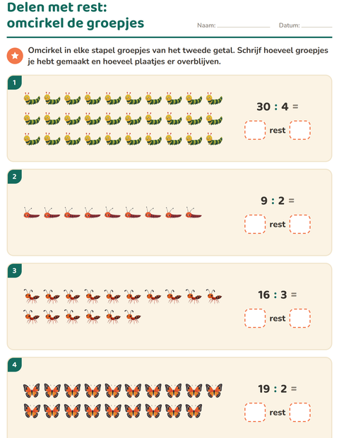 Voorbeeld van het Delen met rest-werkblad met Insecten en beestjes voor groep 5