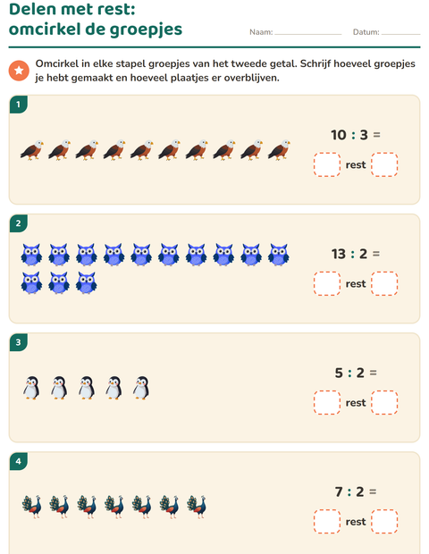 Voorbeeld van het Delen met rest-werkblad met Vogels voor groep 5