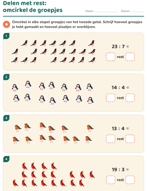 Voorbeeld van het Delen met rest-werkblad met Vogels 2 voor groep 5
