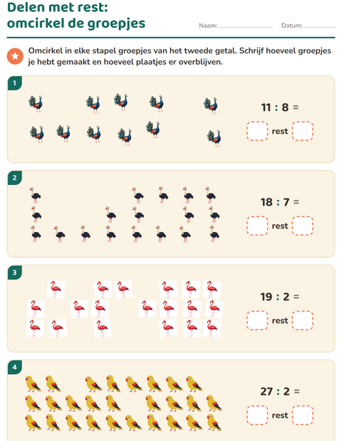 Voorbeeld van het Delen met rest-werkblad met Vogels voor groep 5