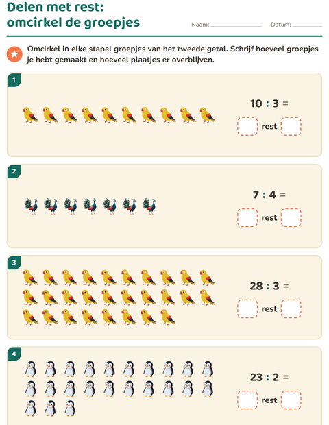 Voorbeeld van het Delen met rest-werkblad met Vogels voor groep 5