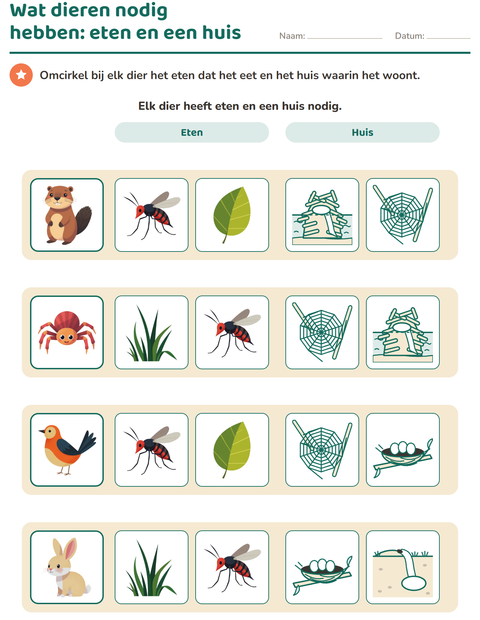 Wat dieren nodig hebben: eten en een huis