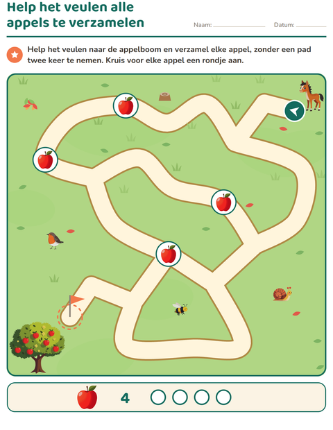 Voorbeeld van het Doolhofpuzzels-werkblad voor groep 3