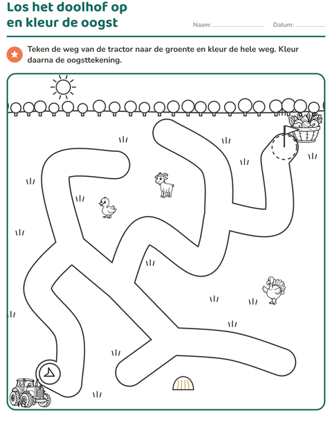 Voorbeeld van het Doolhofpuzzels-werkblad voor kleuterklas