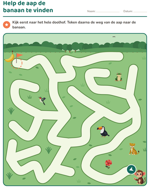 Voorbeeld van het Doolhofpuzzels-werkblad voor groep 3