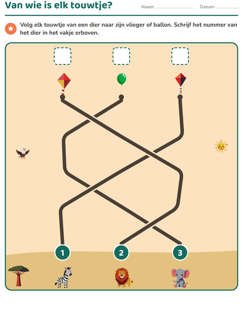 Voorbeeld van het Doolhofpuzzels-werkblad voor groep 3