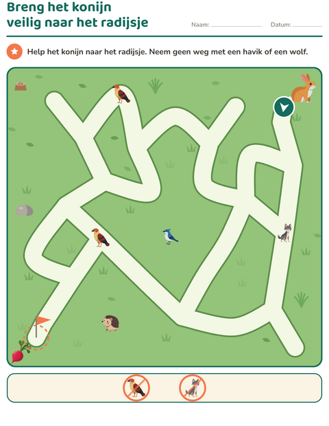 Voorbeeld van het Doolhofpuzzels-werkblad voor groep 3