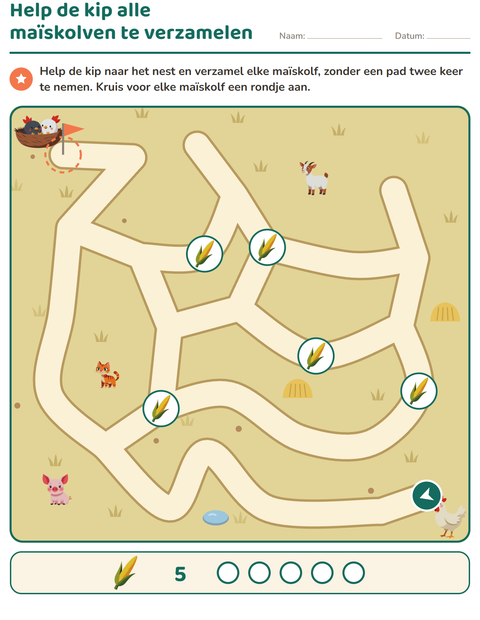 Voorbeeld van het Doolhofpuzzels-werkblad voor groep 3
