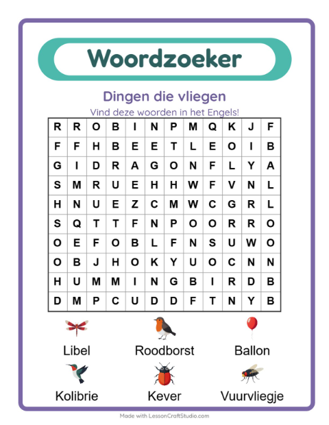 Engelse woordzoeker – Dingen die vliegen