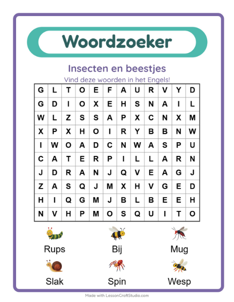 Engelse woordzoeker – Insecten en beestjes