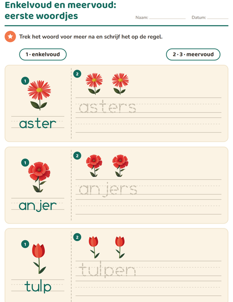 Voorbeeld van het Enkelvoud en meervoud-werkblad met Bloemen voor kleuterklas