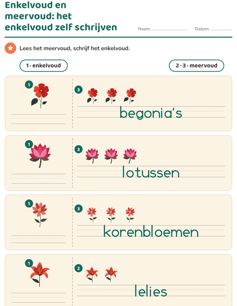 Voorbeeld van het Enkelvoud en meervoud-werkblad met Bloemen voor kleuterklas
