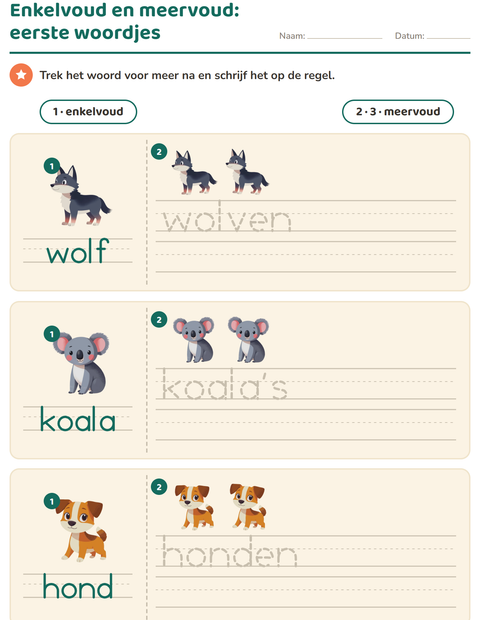 Voorbeeld van het Enkelvoud en meervoud-werkblad met Dieren voor kleuterklas