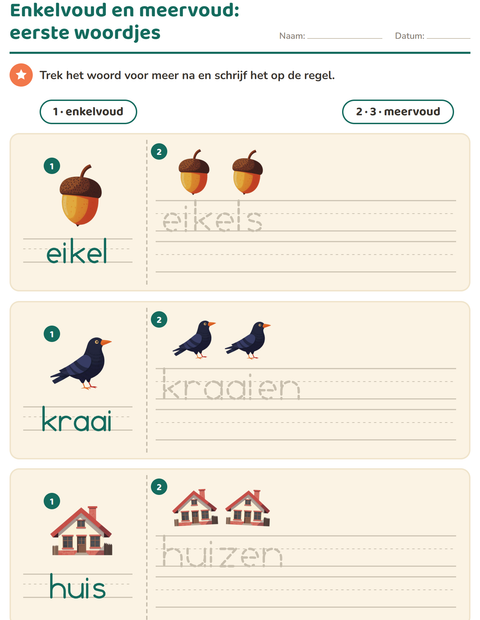 Voorbeeld van het Enkelvoud en meervoud-werkblad met Diversen voor kleuterklas