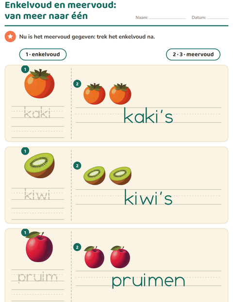 enkelvoud-en-meervoud-fruit-k313