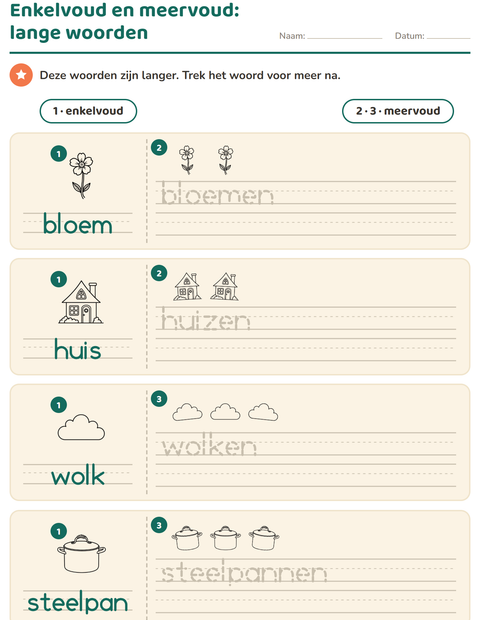 Voorbeeld van het Enkelvoud en meervoud-werkblad met Huis en Natuur ZW voor kleuterklas