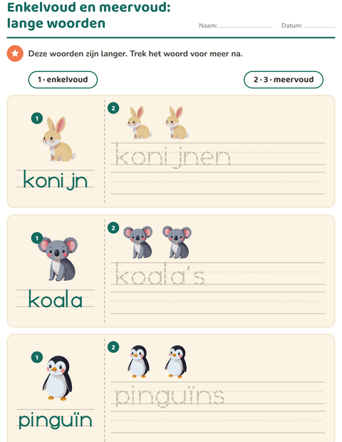 Voorbeeld van het Enkelvoud en meervoud-werkblad met Dieren voor kleuterklas