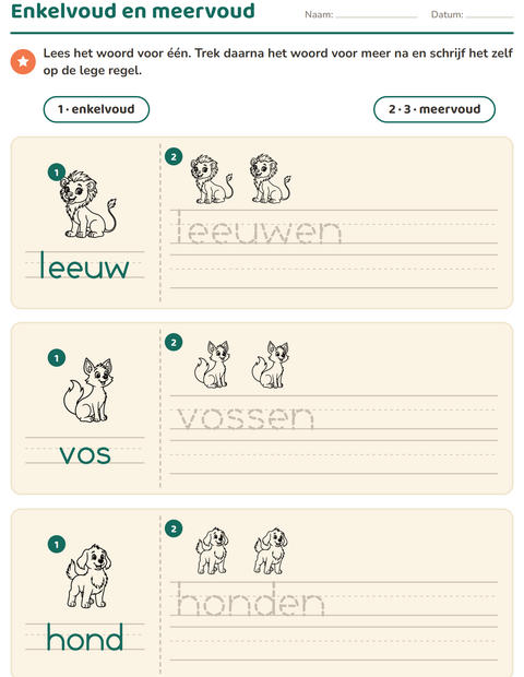 Voorbeeld van het Enkelvoud en meervoud-werkblad met Dierentuindieren ZW voor kleuterklas