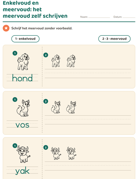 Voorbeeld van het Enkelvoud en meervoud-werkblad met Dierentuindieren ZW voor kleuterklas
