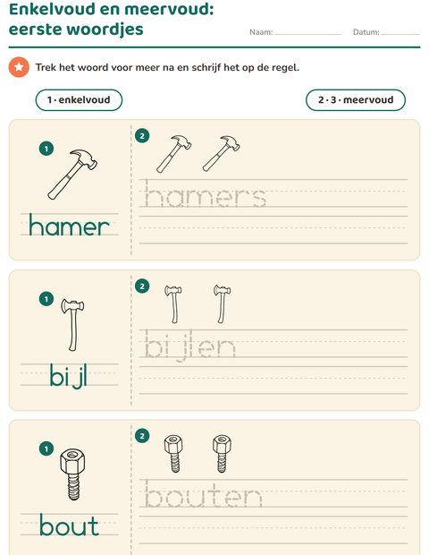Voorbeeld van het Enkelvoud en meervoud-werkblad met Gereedschap ZW voor kleuterklas