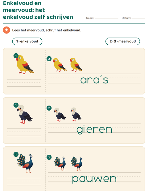 Voorbeeld van het Enkelvoud en meervoud-werkblad met Vogels voor kleuterklas