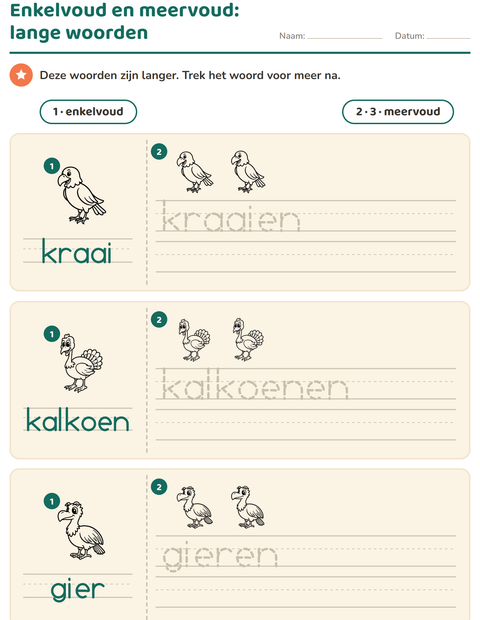 Voorbeeld van het Enkelvoud en meervoud-werkblad met Vogels Z&W 2 voor kleuterklas
