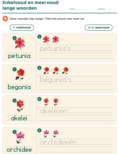 Voorbeeld van het Enkelvoud en meervoud-werkblad met Bloemen voor kleuterklas