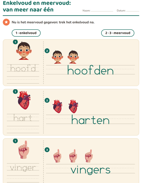 Voorbeeld van het Enkelvoud en meervoud-werkblad met Lichaamsdelen voor kleuterklas