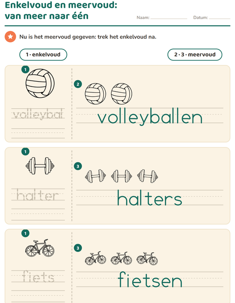 Voorbeeld van het Enkelvoud en meervoud-werkblad met Sport ZW voor kleuterklas