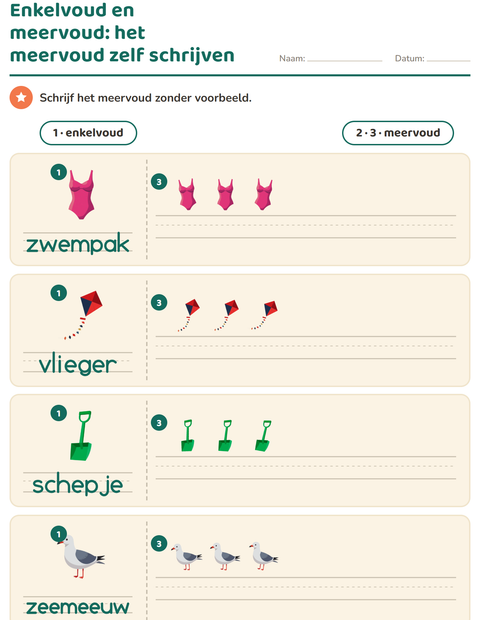 Voorbeeld van het Enkelvoud en meervoud-werkblad met Strand voor kleuterklas