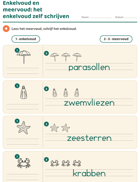 Voorbeeld van het Enkelvoud en meervoud-werkblad met Strand ZW voor kleuterklas