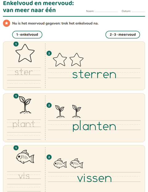 Voorbeeld van het Enkelvoud en meervoud-werkblad met Natuur ZW voor kleuterklas