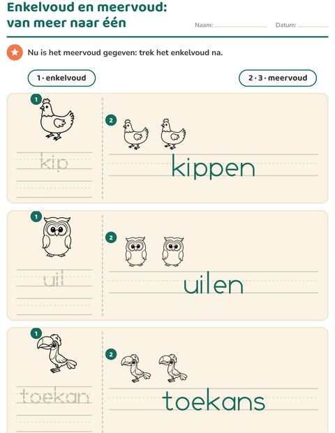 Voorbeeld van het Enkelvoud en meervoud-werkblad met Vogels Z&W 2 voor kleuterklas